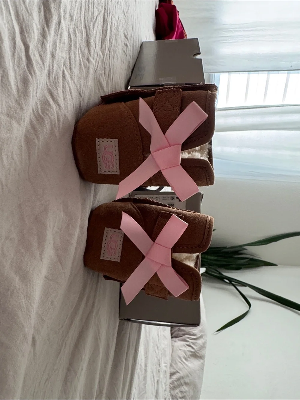UGG Mini Booties in Chestnut Suede